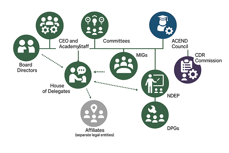 Academy Governance Structure